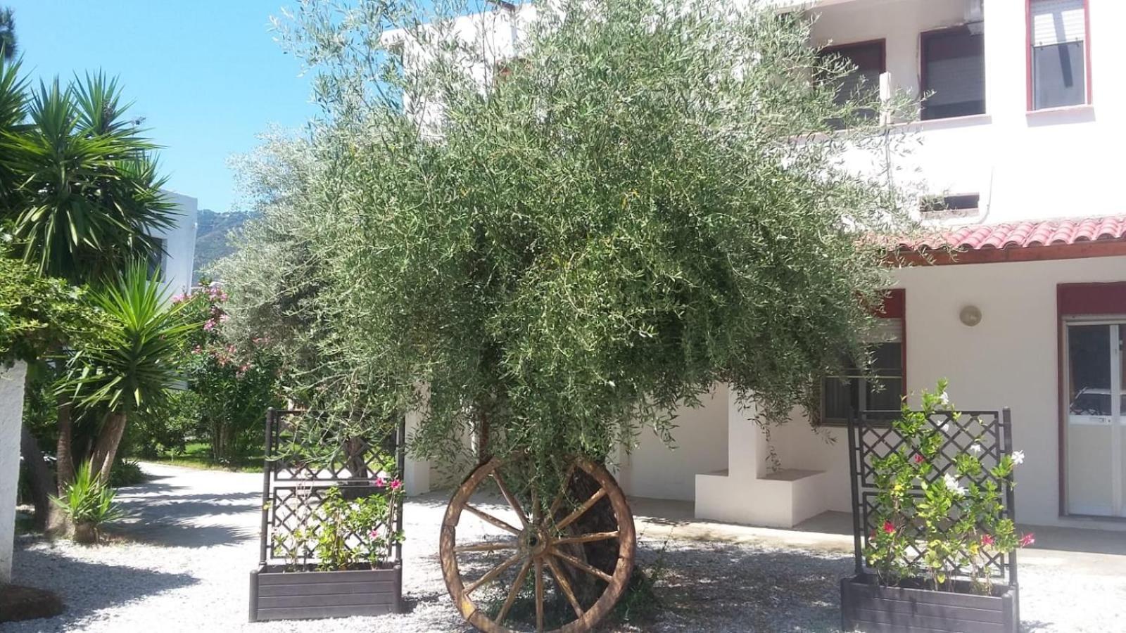 Appartamenti La Baia Del Rais Falcone Ruang foto